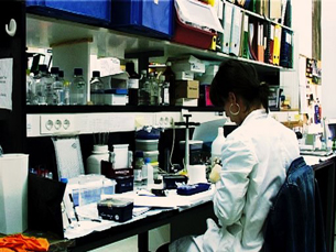 A nanotecnologia é considerada uma das técnicas mais promissoras posta ao serviço da biomedicina Foto: Arquivo JPN