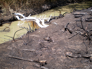 Solos contaminados afetam as águas subterrâneas, podendo causar problemas na saúde pública Foto: Massachusetts Dept. of Environmental Protection/Flickr