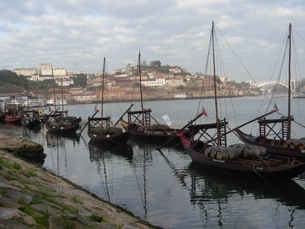 A região demarcada do Douro marcou presença na agenda do seminário Foto: Sandra Silva Pinto