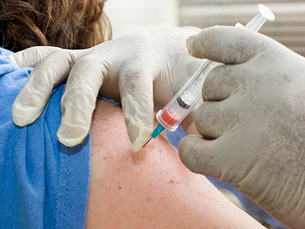 OMS acredita  que a criação da vacina para humanos é possível Foto: Flickr