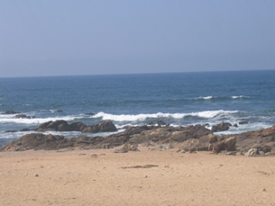 Este ano, mais quatro praias do norte têm bandeira azul Foto: DR