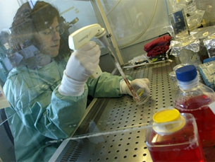 Doenças cancerígenas e campo da genética são os mais visados pelas investigações Foto: Arquivo JPN
