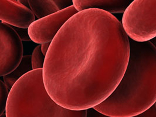 Hemofilia afecta cerca de 400 mil pessoas em todo o mundo Foto: DR