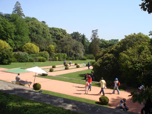 O Parque de Serralves compreende, em toda a sua extensão, 18 hectares Foto: Arquivo JPN