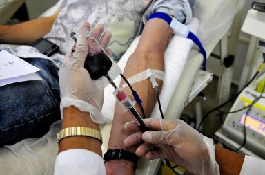 O número de dadoras de sangue no IPO do Porto aumento 24,7%