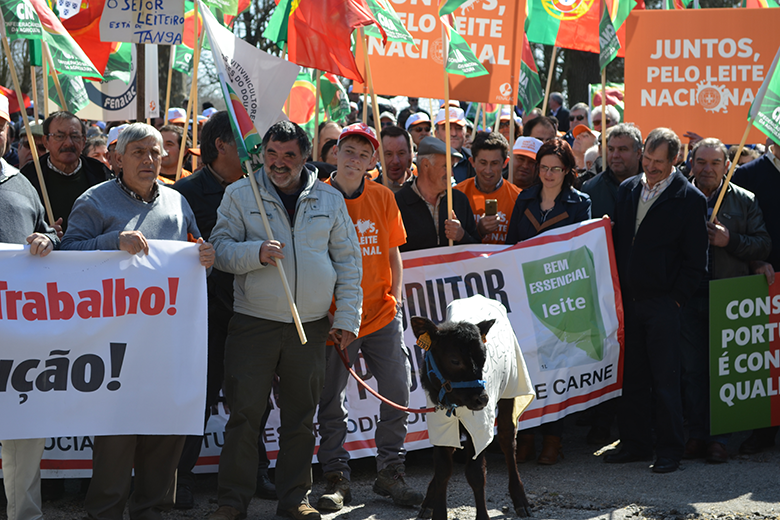 Nesta segunda-feira cerca de dois mil produtores agrícolas manifestaram-se contra os preços abusivos em Matosinhos.