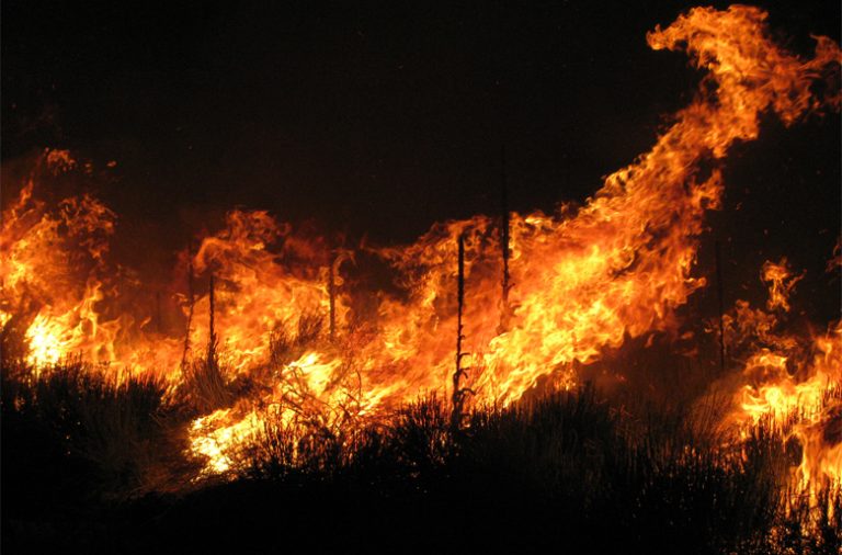 Fase crítica dos incêndios decorre entre 1 de julho e 30 de setembro