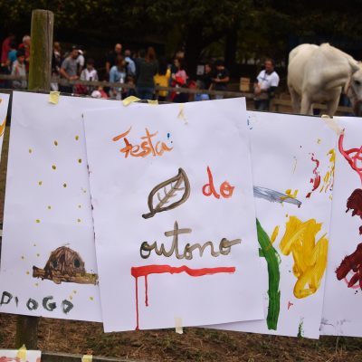 As crianças são o grande alvo da Festa e estiveram em massa em Serralves.