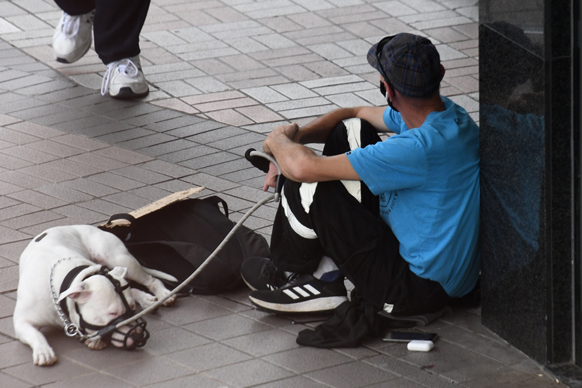 homem encostado a uma esquina a segurar uma trela com cão